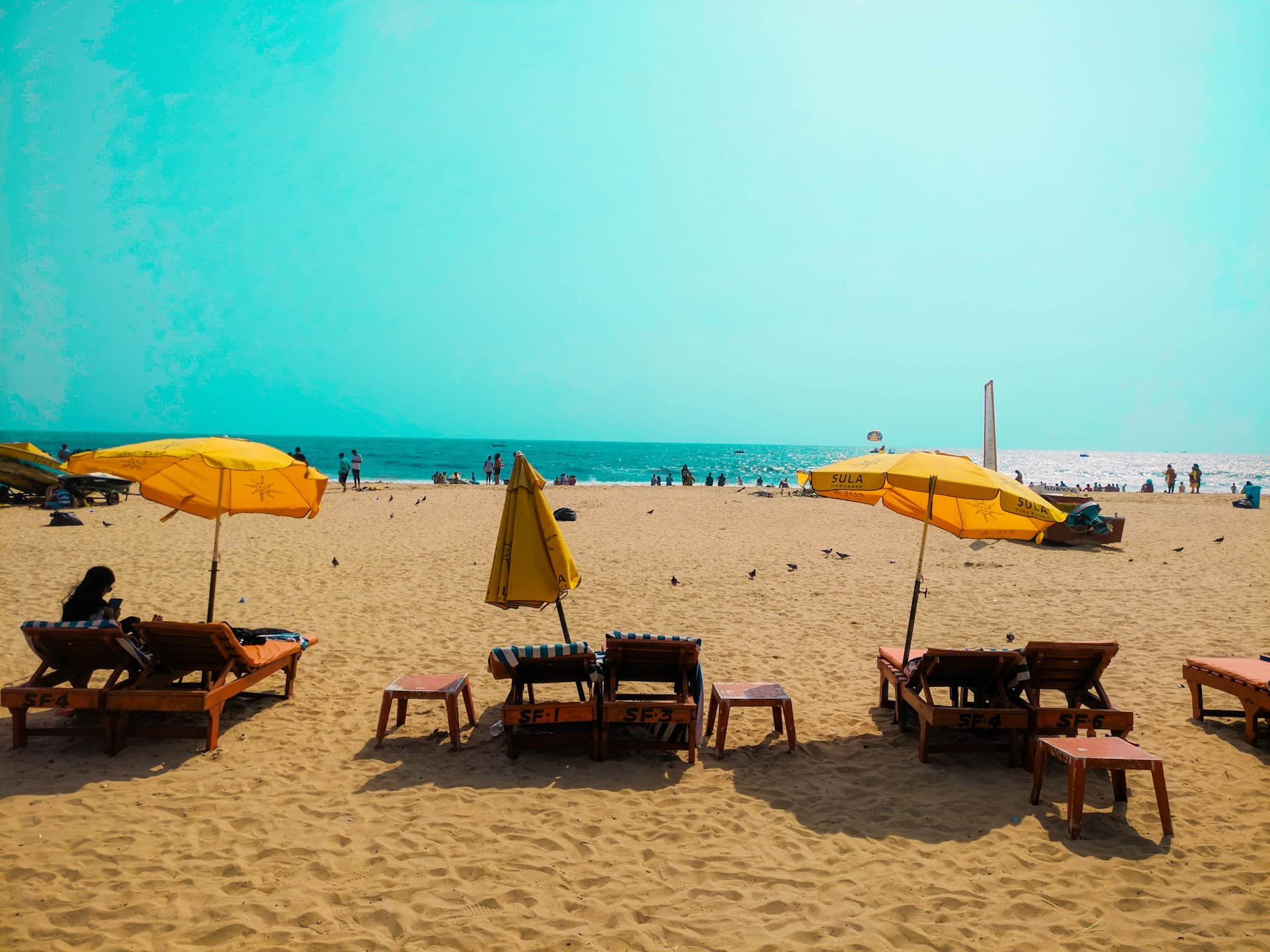 Goa New Year 2025–26