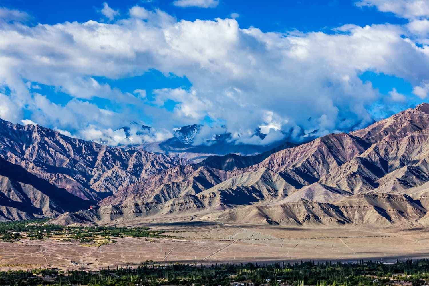 Summer Ladakh Group Trips 2025