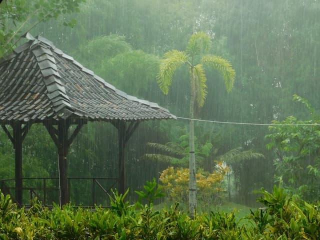 Western Ghats Monsoon 2025