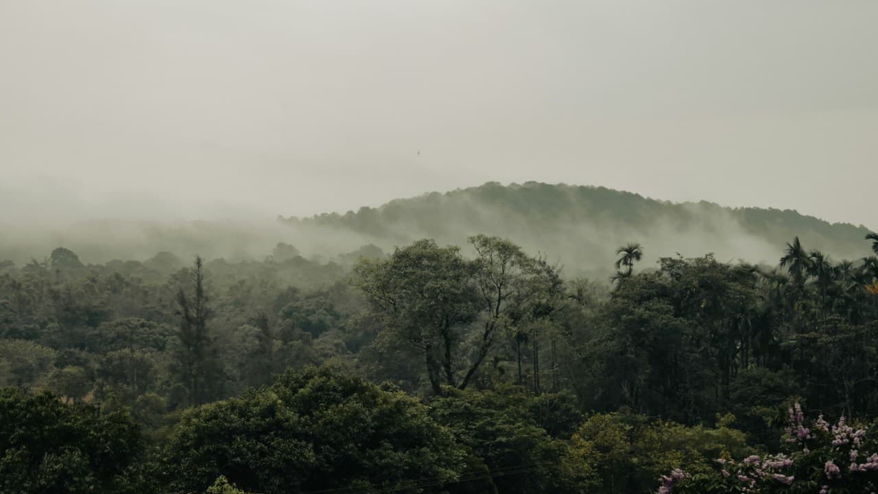 mountain