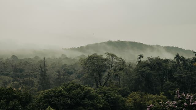 Agumbe