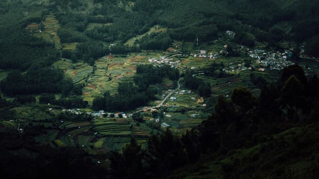 Agumbe