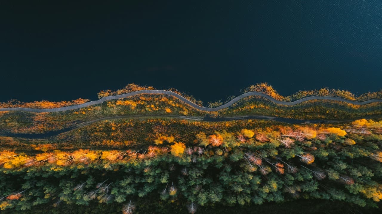Nirgudpada
