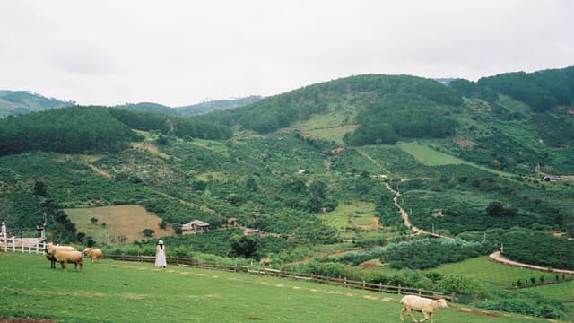 Samrad
