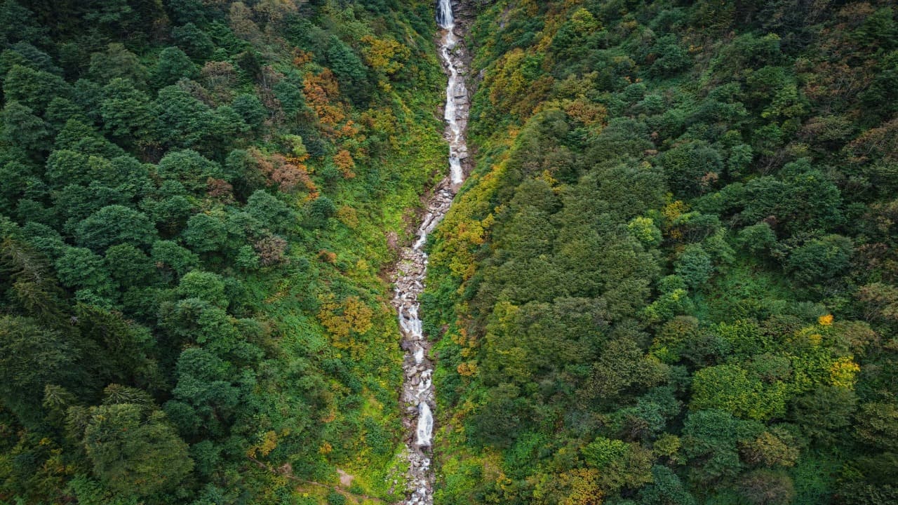 mountain