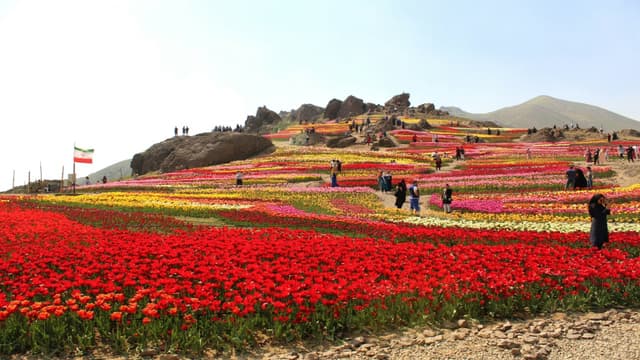 Valley of Flowers National Park