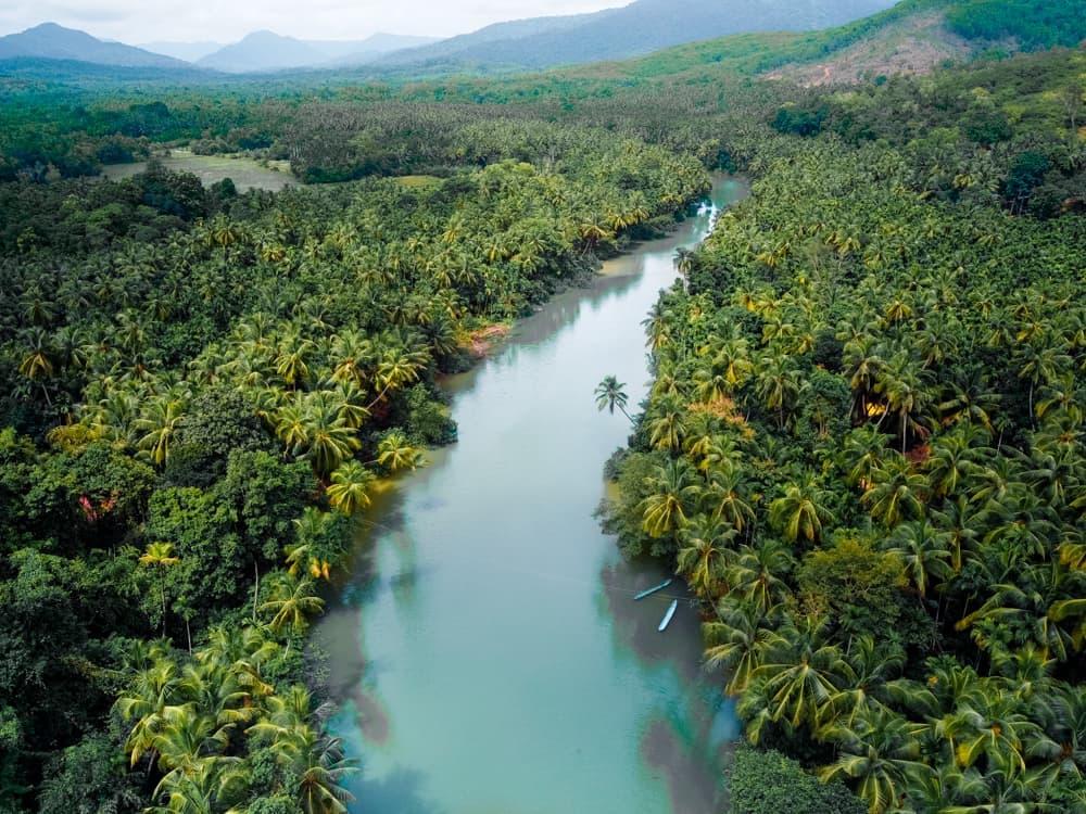Vasota Jungle Fort Camping Trek