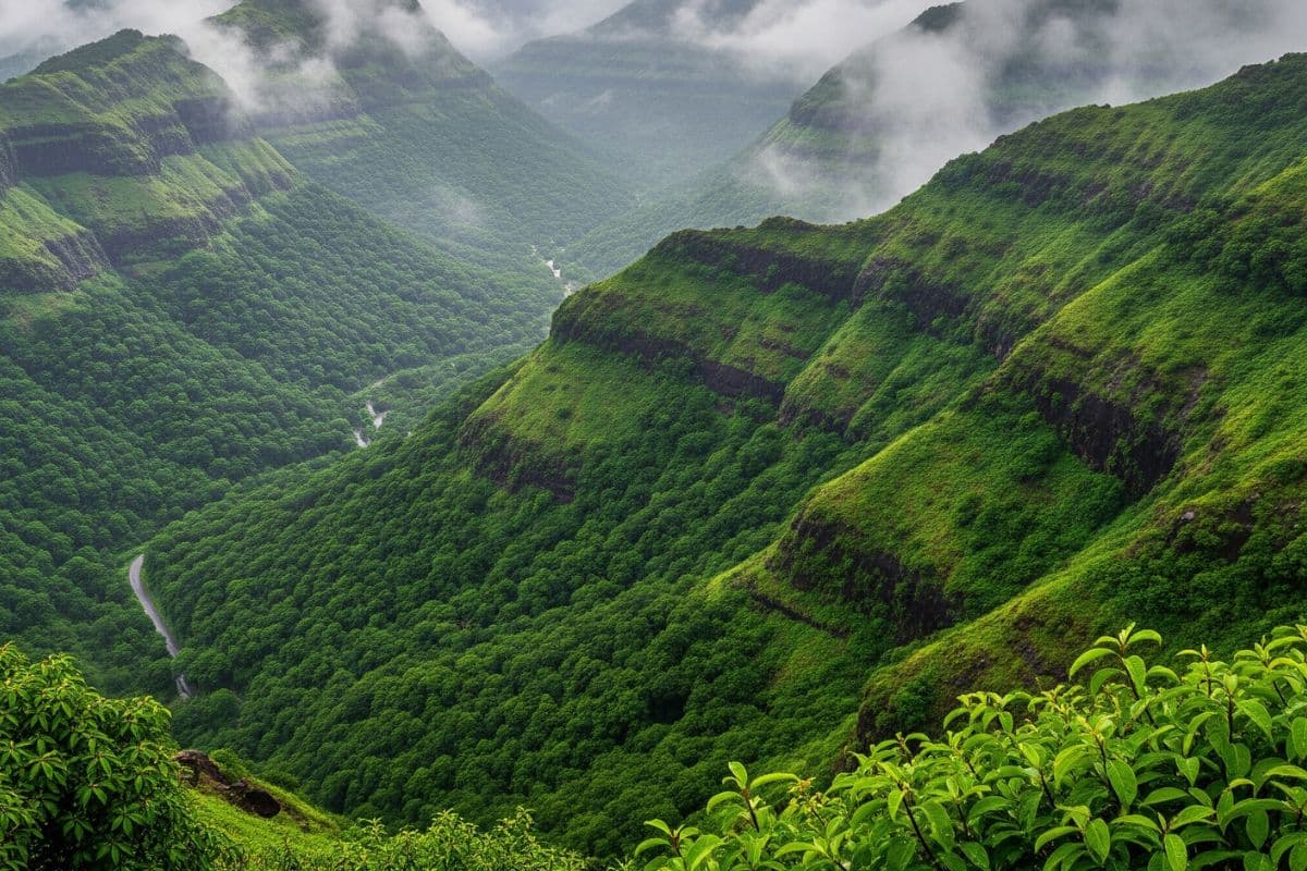 Vasota Jungle Fort Camping Trek