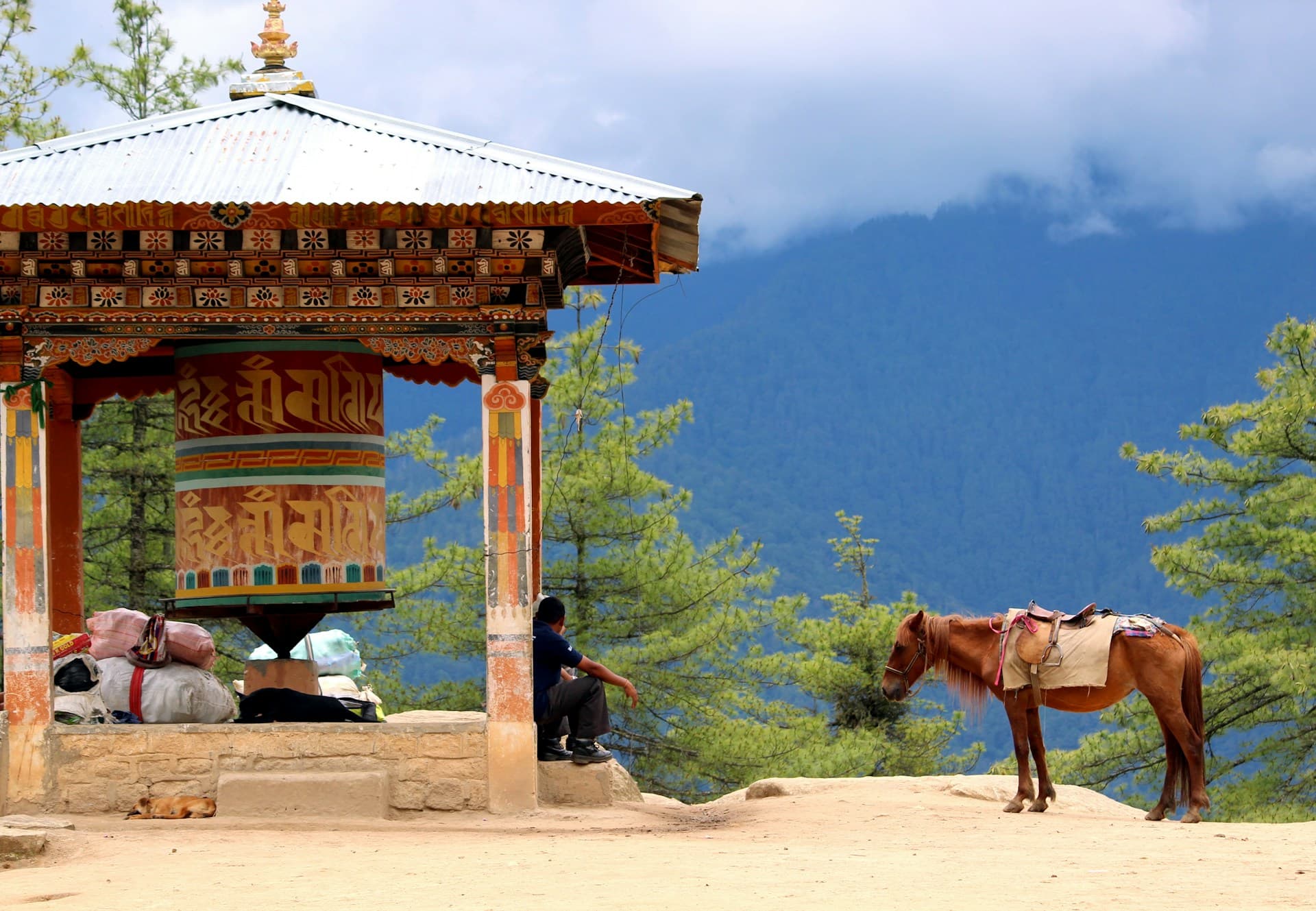 Golden Hotels and Resorts cover photo