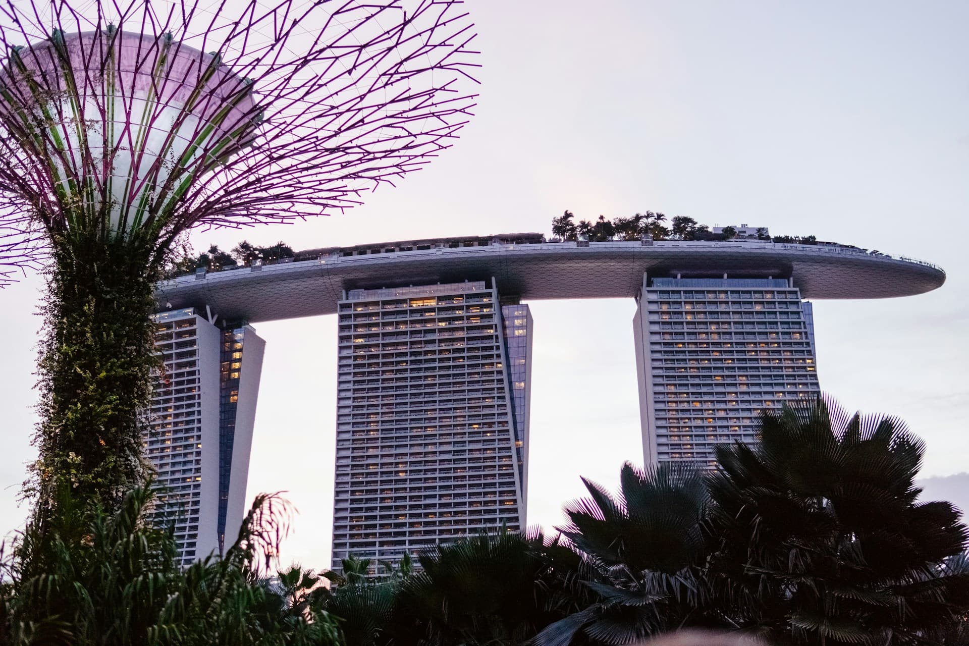 Infri trip cover photo
