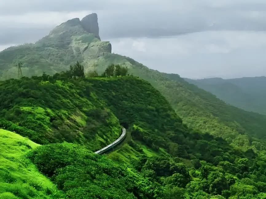 nature