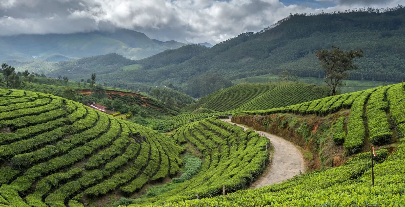 Darjeeling Nepal Kangchendzonga Explore