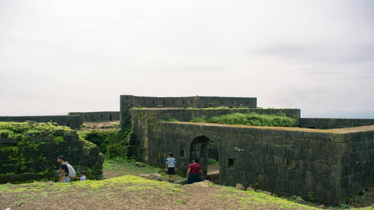 Easy fort trek