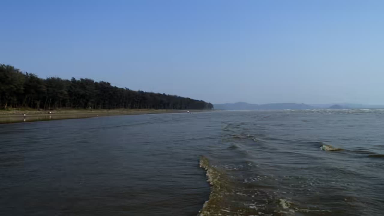 Nagaon