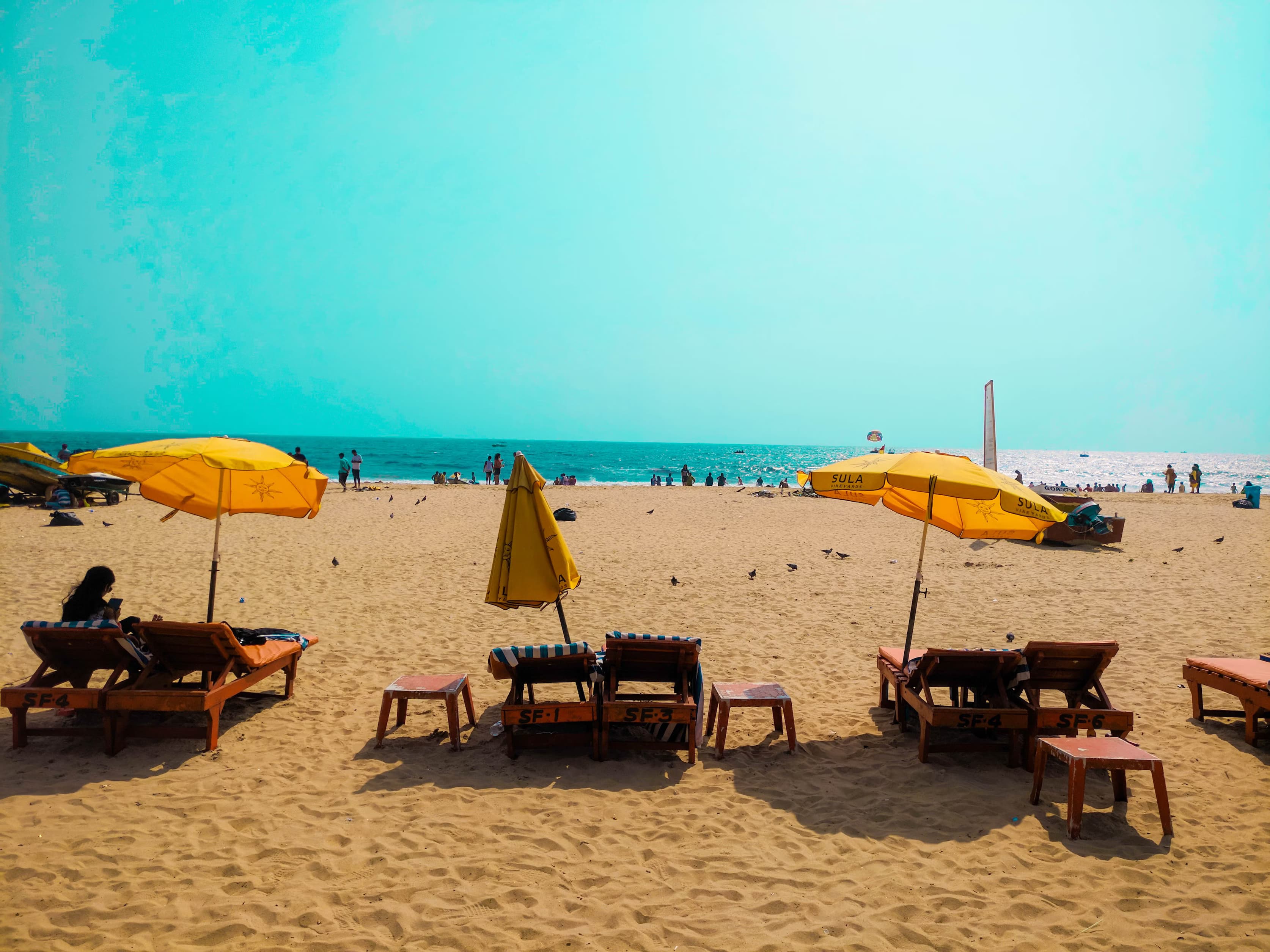 Beaches/Party