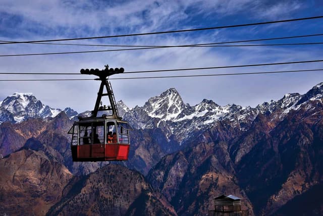 Auli