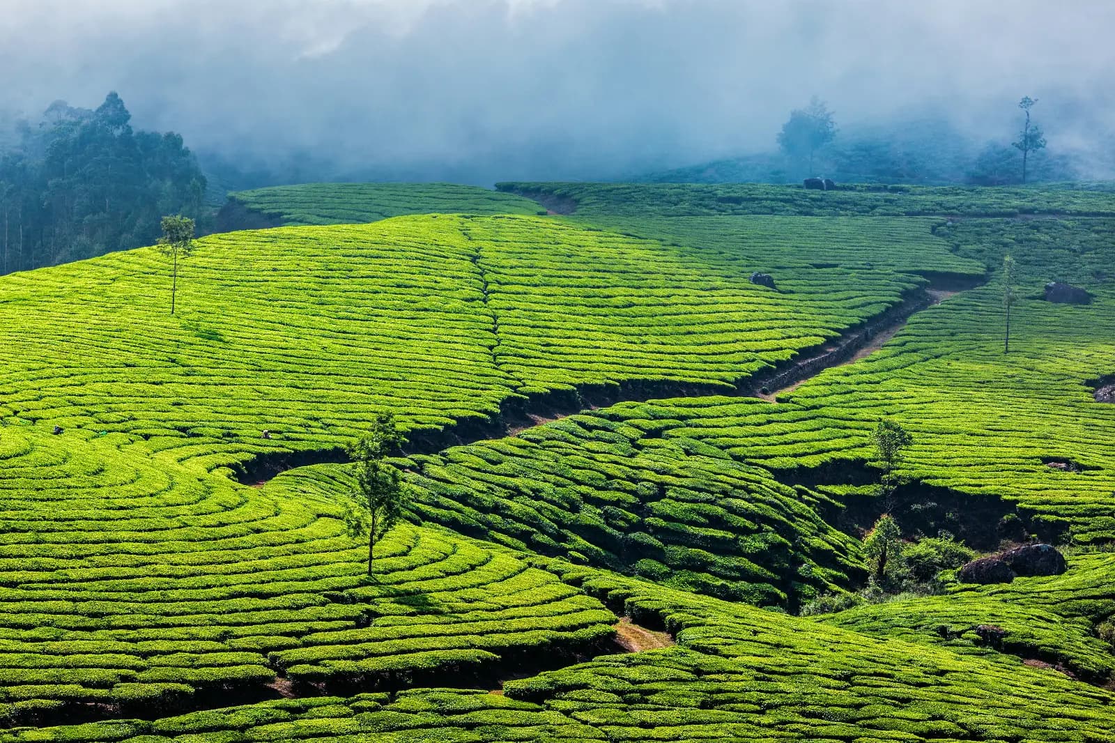 Bharathwanderers cover photo