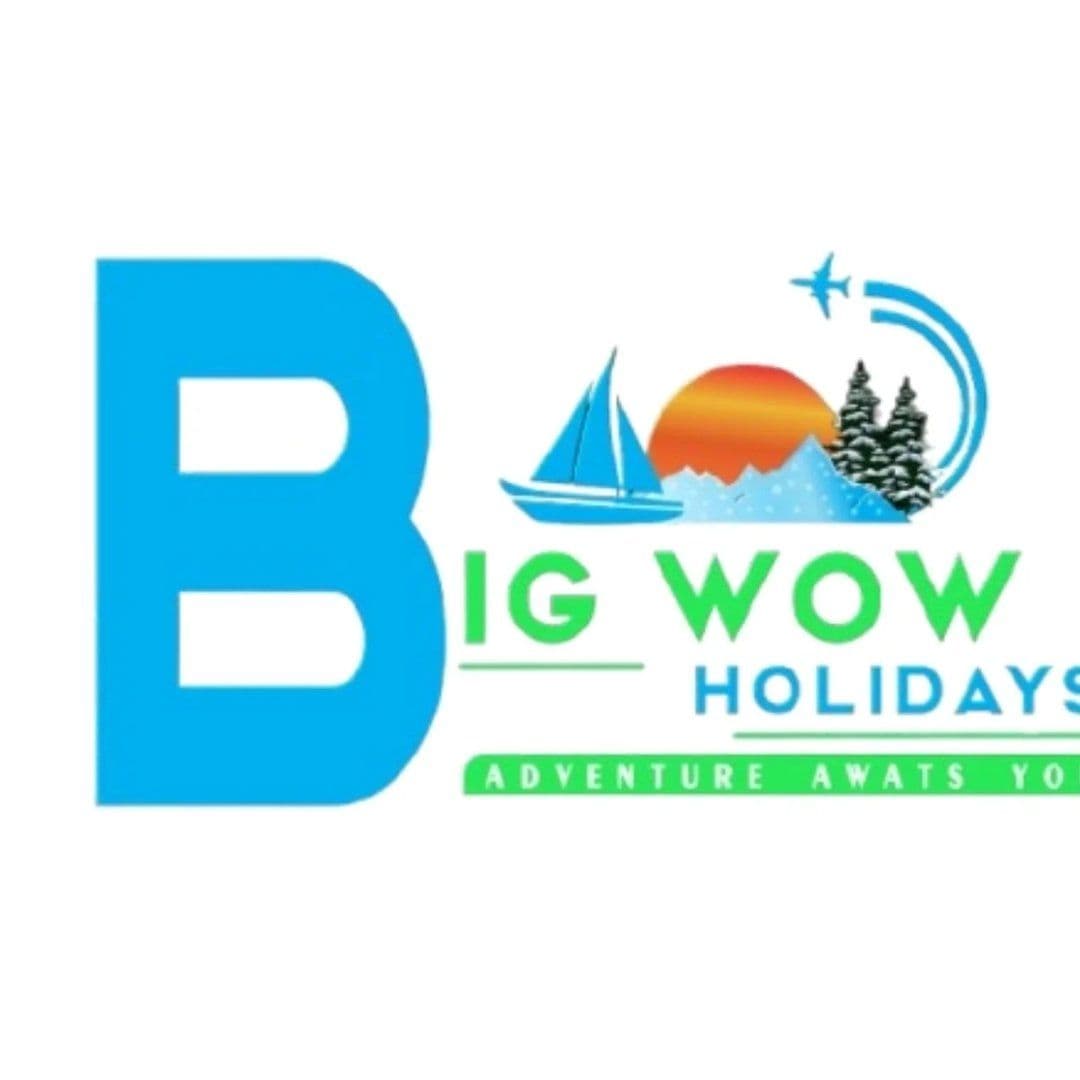 Big Wow Holidays logo