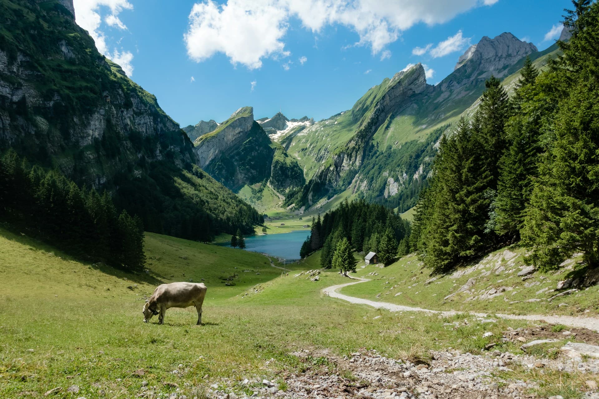 Book a Wonder Holidays cover photo