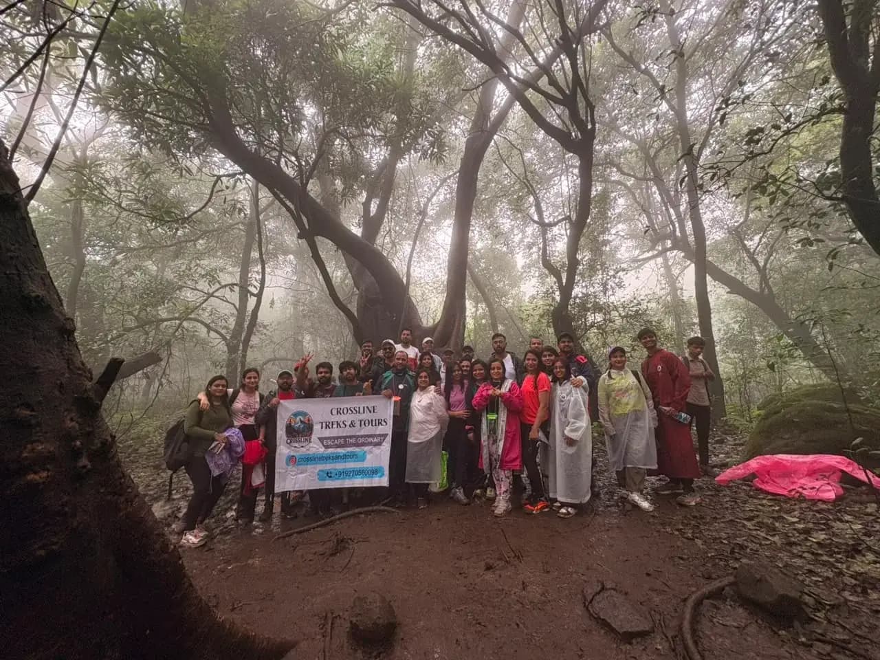 Crossline Trek and Tour cover photo