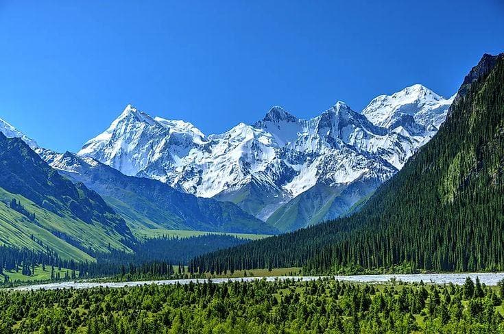 Himalayanderive cover photo