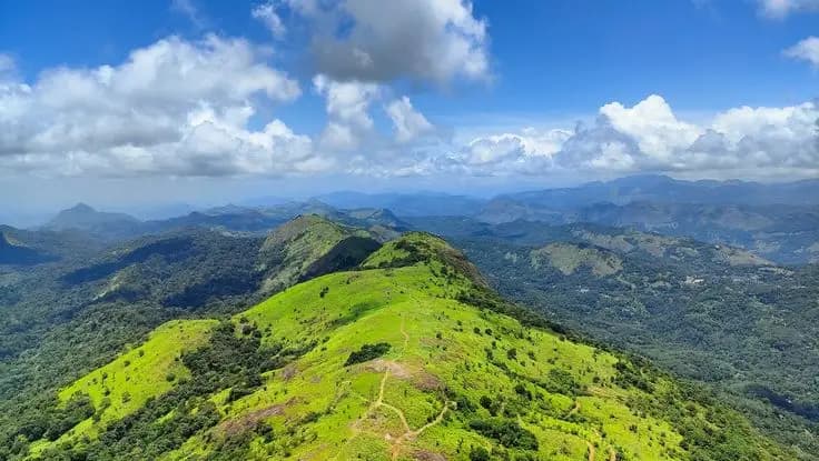 Jungle Tours & Treks cover photo