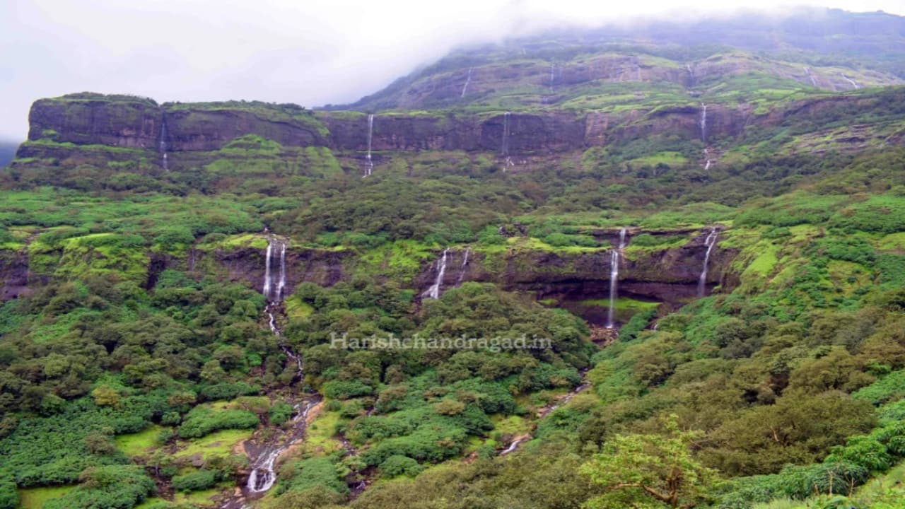 Sahyadri Forest