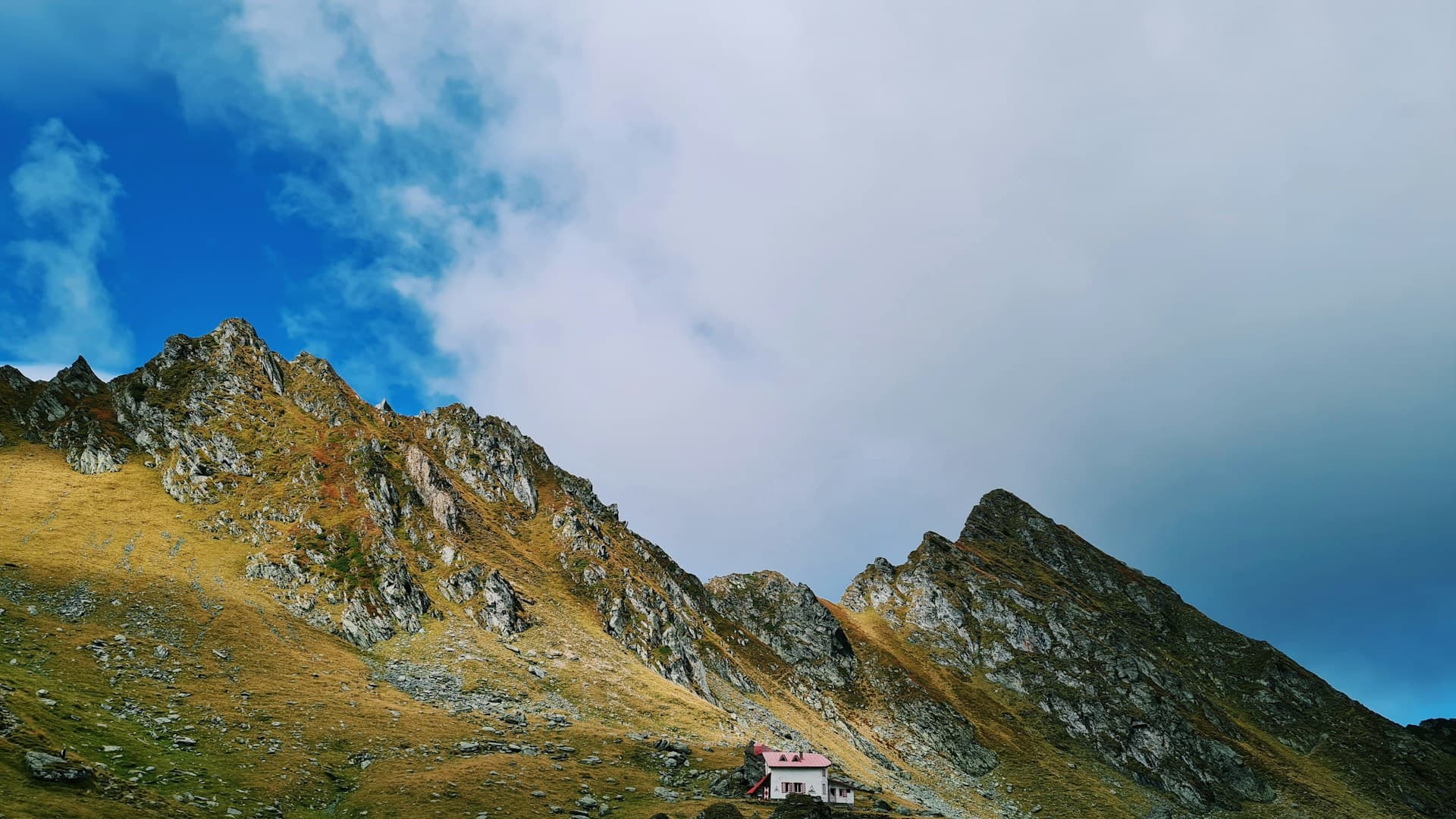 Mountain Mavericks Trekking Soul cover photo