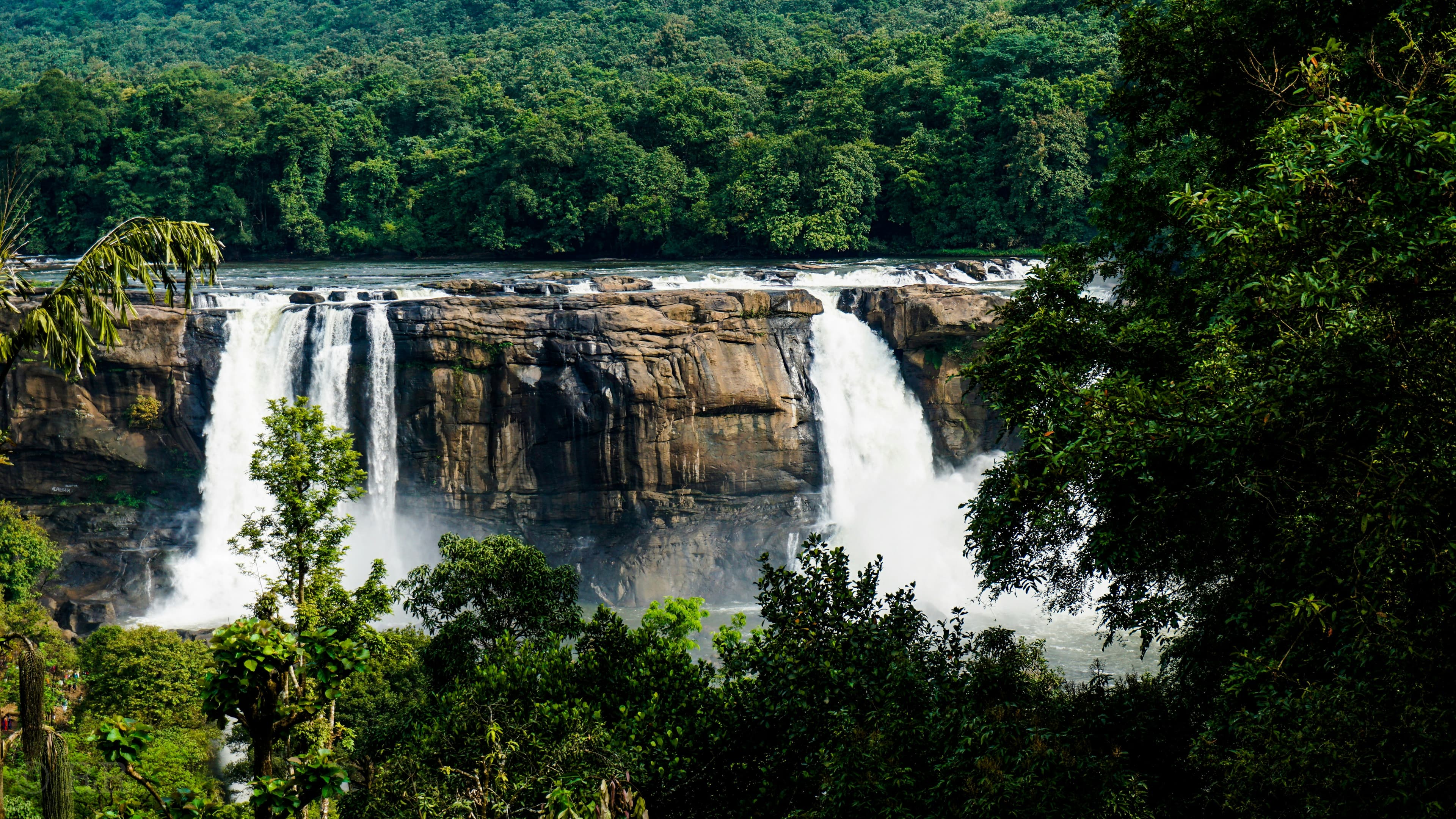 Nature & Backwater Tour
