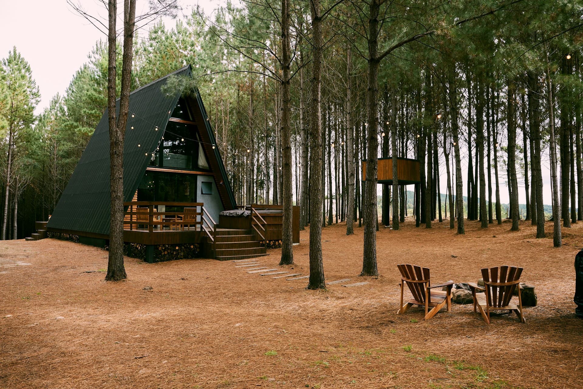 campfire stargazing adventure