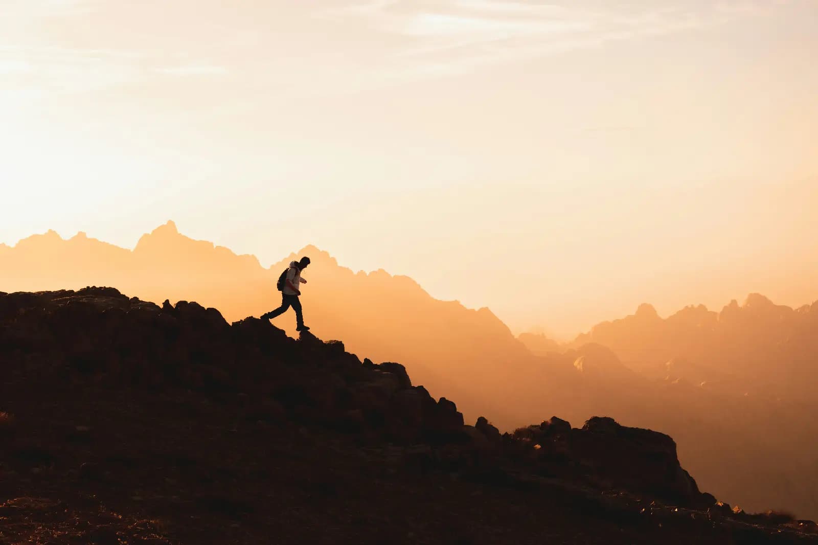 Tripster Travel cover photo