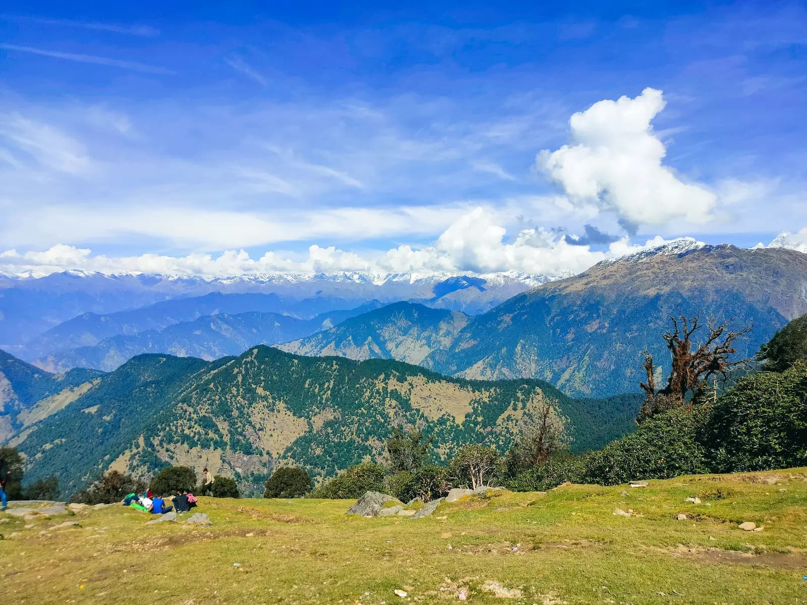 Vistara Trails cover photo