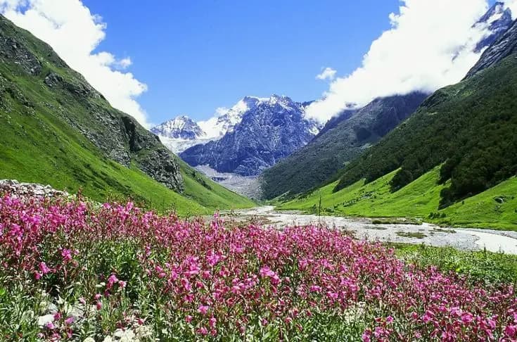 Yatrajourney cover photo