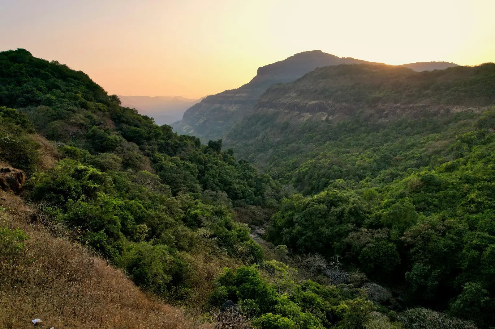 Zest Peak Holidays cover photo