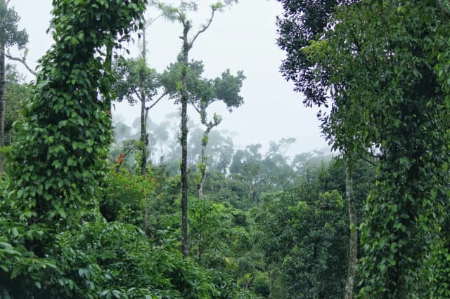 Sakleshpura