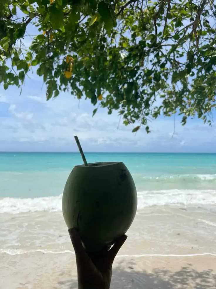 premium island
