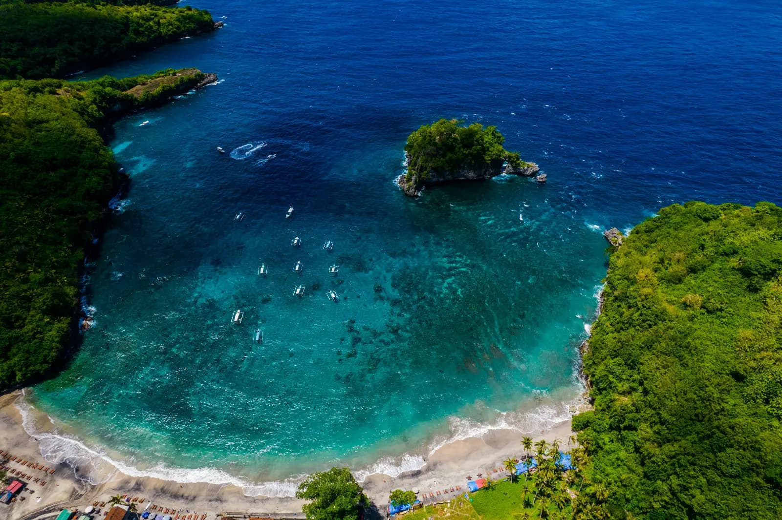 Tropical Beach Paradise