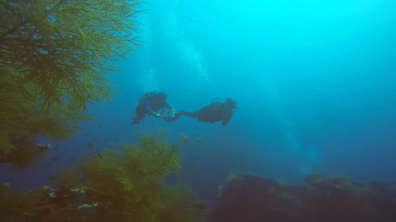 island