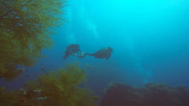 Andaman and Nicobar Islands