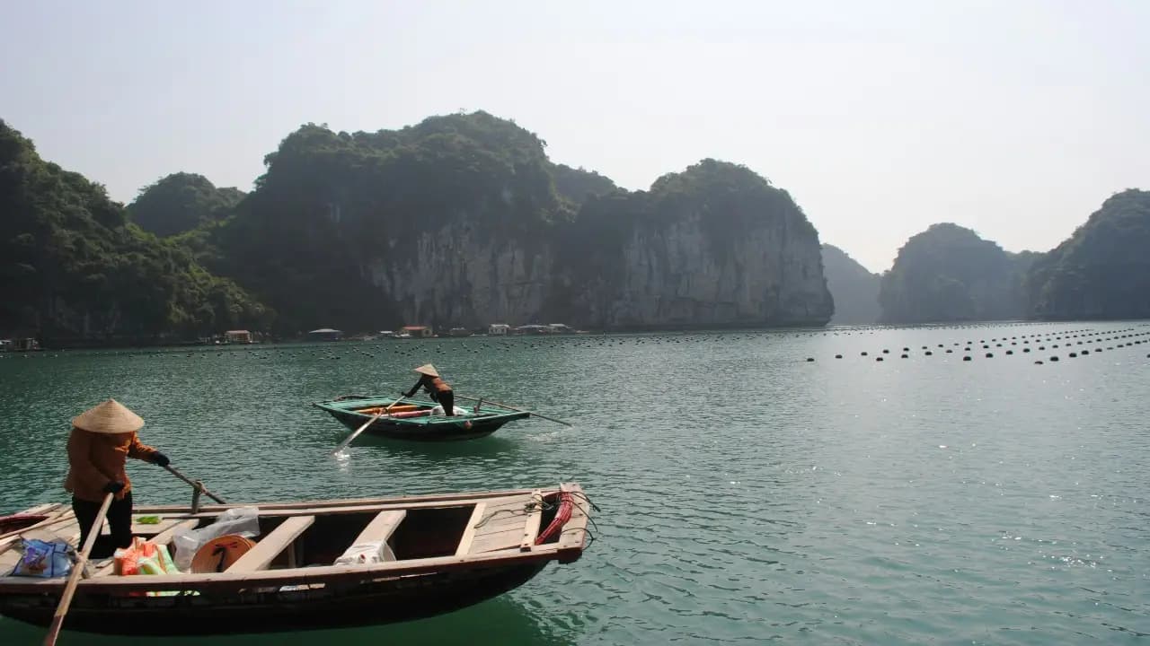 island