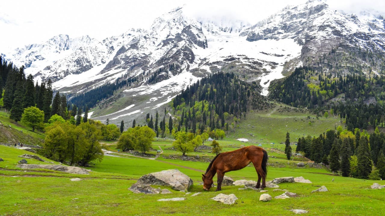 mountain