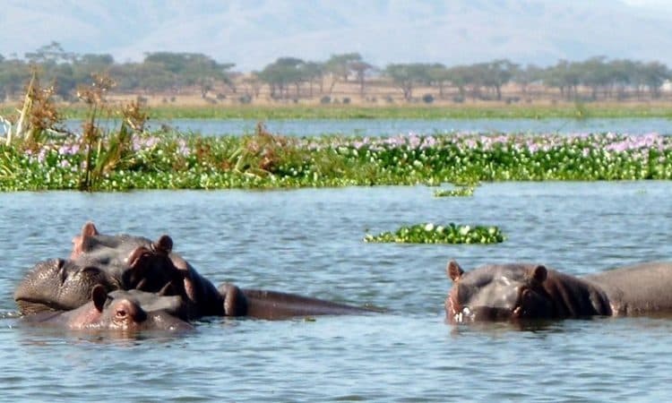 Masai Mara Lakes Camping Safari Adventure