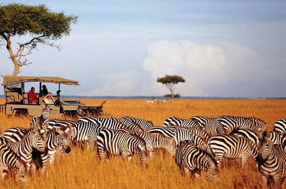 Masai Mara Wildlife Safari Lodge