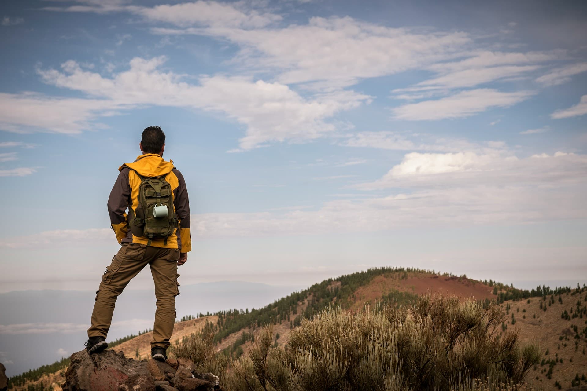 Alpine Trekkers cover photo