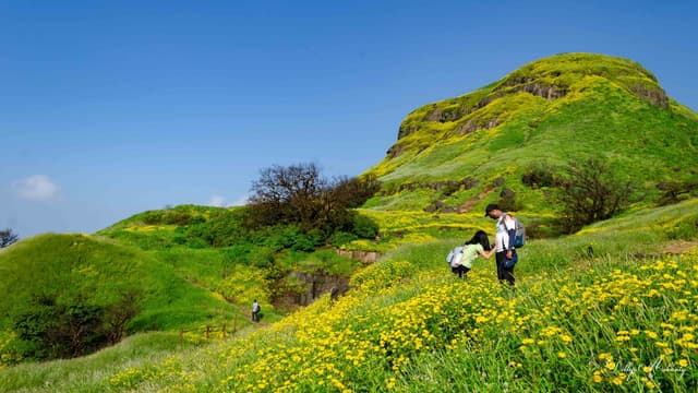 Ratangad Fort