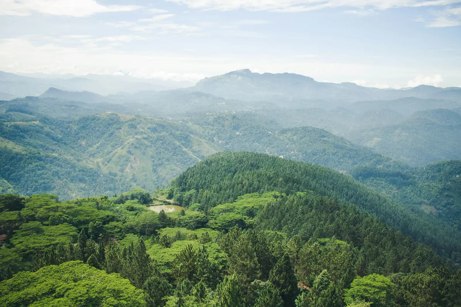Nature Ethiopia Tours cover photo