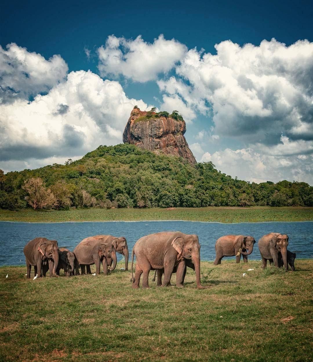 Revival Ceylon Tours cover photo