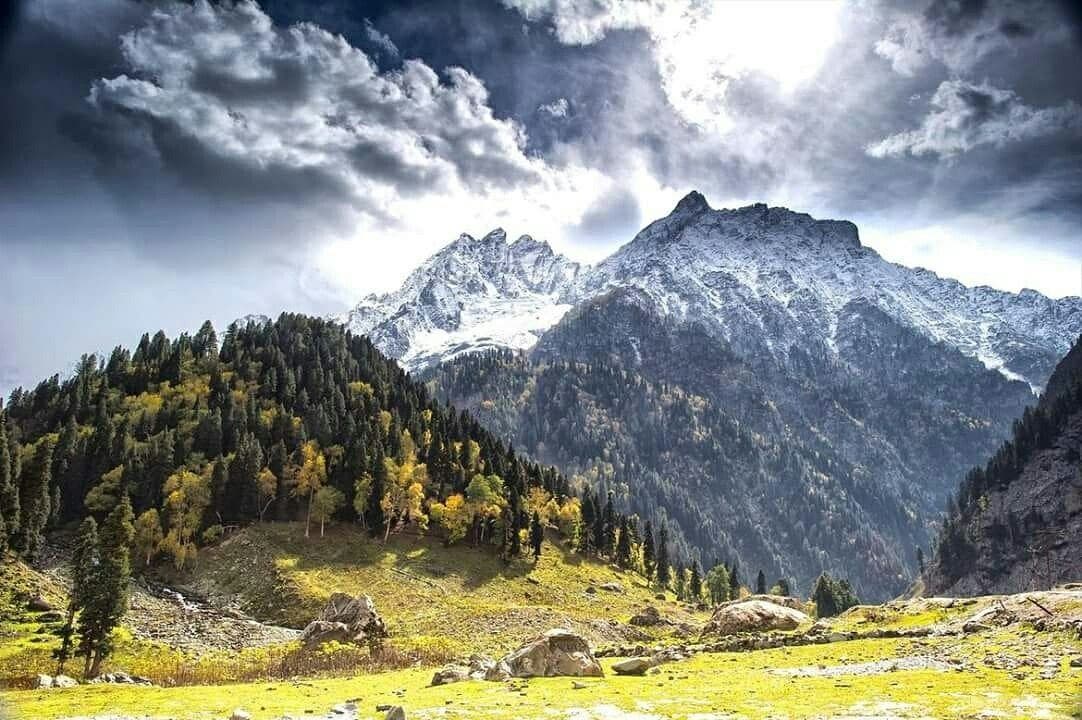 The Travel Delight cover photo
