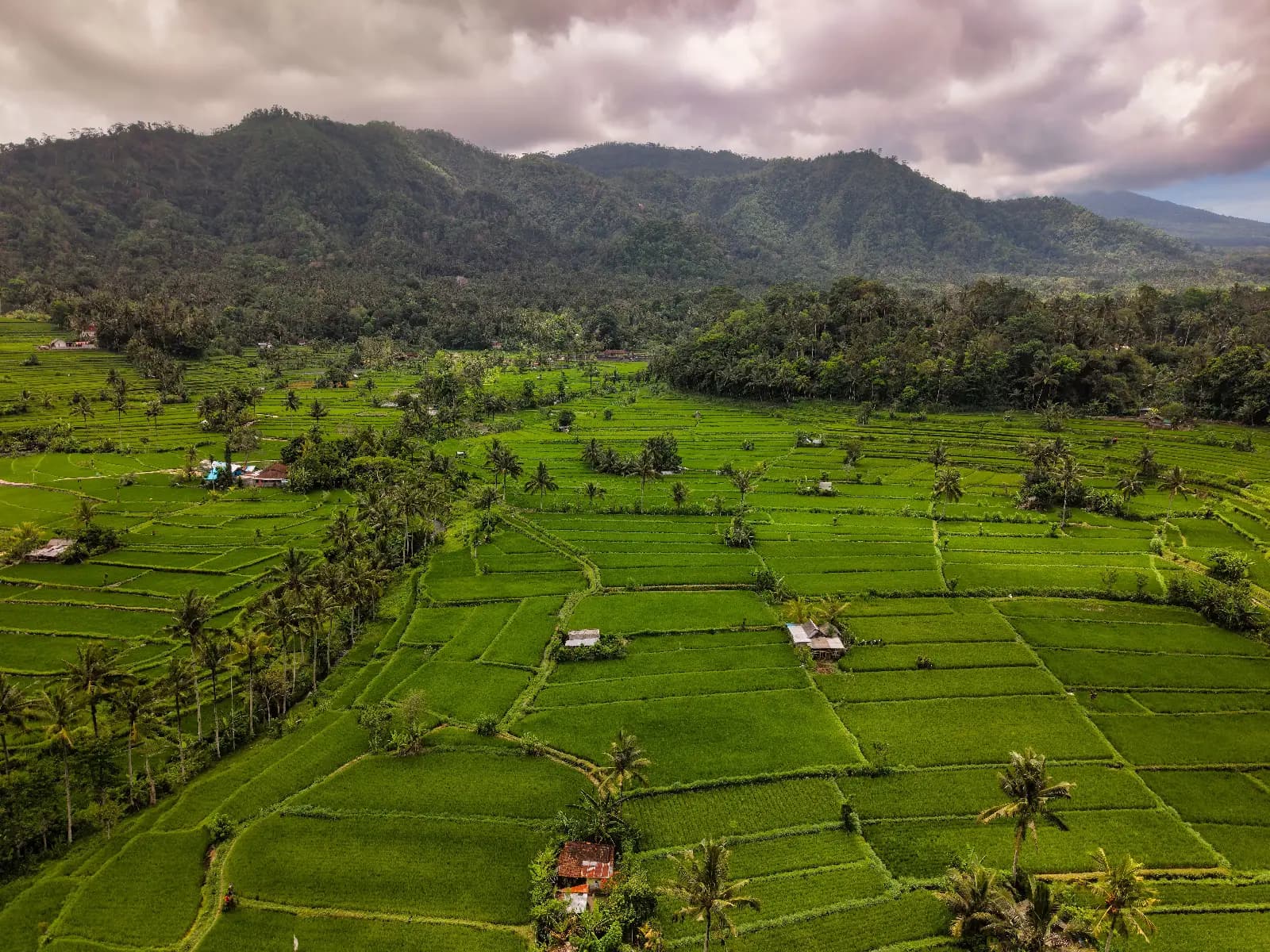 Bali