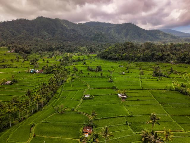 Ubud